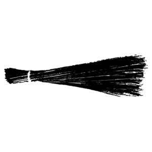 Election Symbol - Aam Aadmi Party